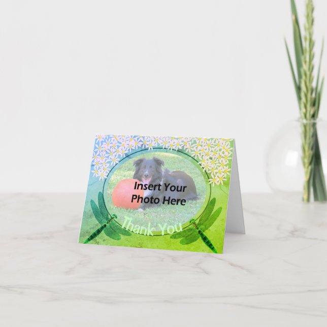 Dragonflies Daisies Thank You Photo Card (Front)