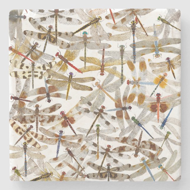 Dragonflies Galore! Coaster (Front)