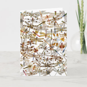 Dragonflies Galore! Greeting Card