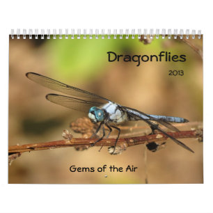 Dragonflies - Gems of the Air 2013 Calendar