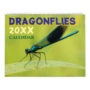 Dragonflies in Nature Wall Calendar