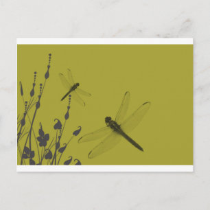 Dragonflies in the Grass Postcard