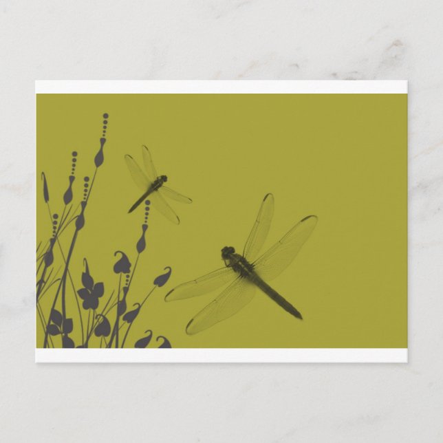 Dragonflies in the Grass Postcard (Front)