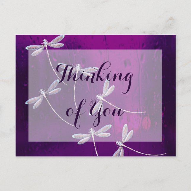 Dragonflies on water Everyday Postcard (Front)