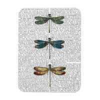 Dragonflies Print 2