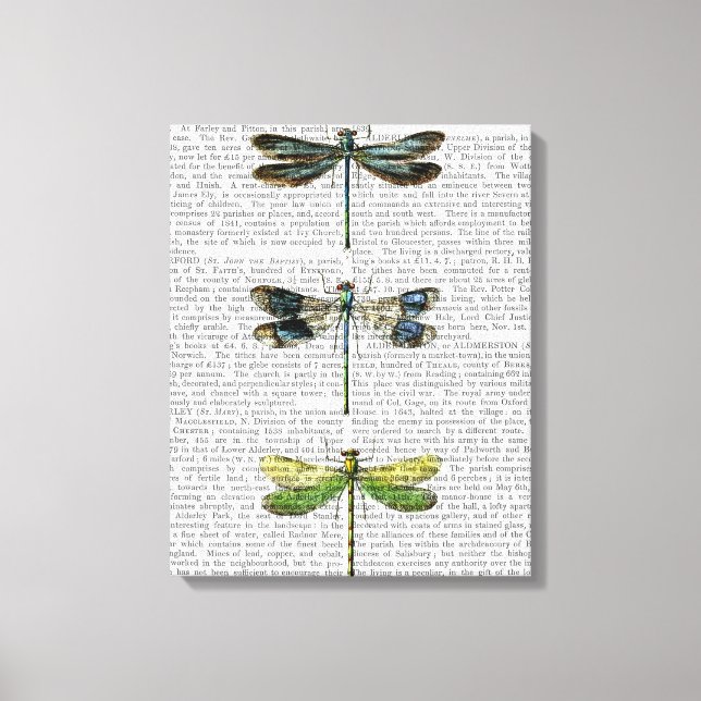 Dragonflies Print 3 (Front)