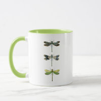 Dragonflies Print 3