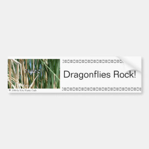 Dragonflies Rock! Bumper Sticker