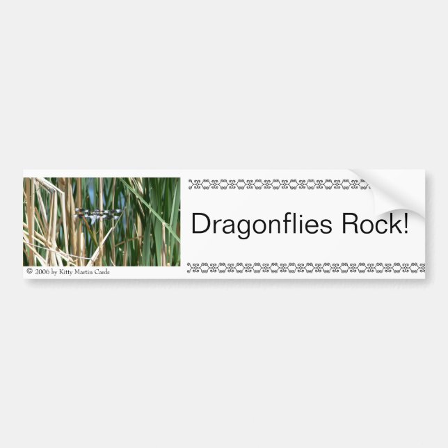 Dragonflies Rock! Bumper Sticker (Front)