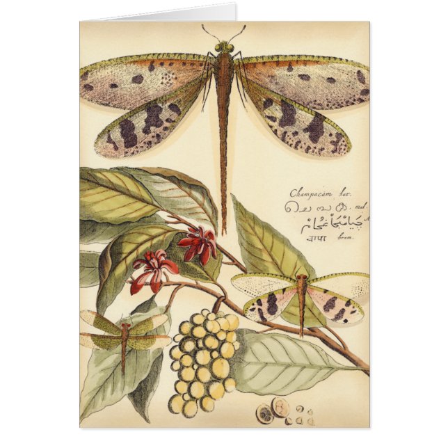 Dragonflies with Leaves and Fruit (Front)