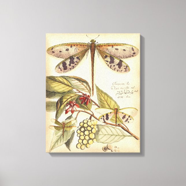 Dragonflies with Leaves and Fruit Canvas Print (Front)