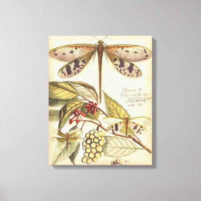 Dragonflies with Leaves and Fruit Canvas Print (Front)