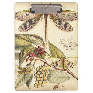Dragonflies with Leaves and Fruit Clipboard
