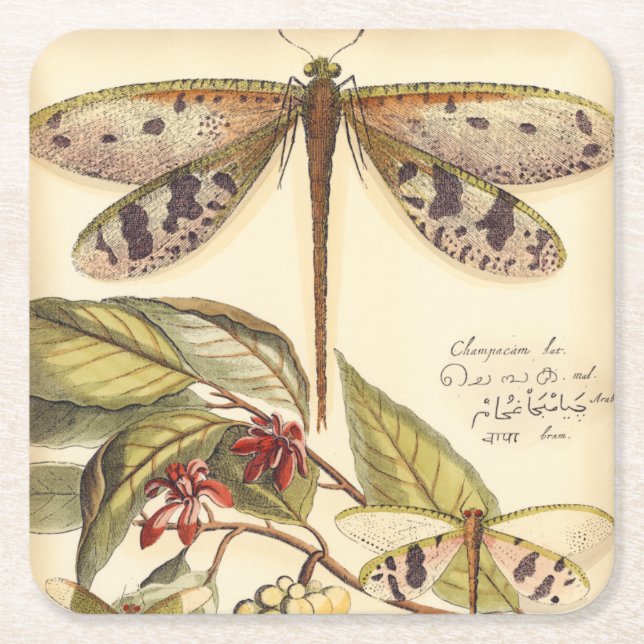 Dragonflies with Leaves and Fruit Square Paper Coaster (Front)