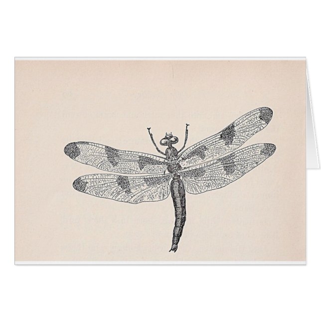 Dragonfly (Front Horizontal)
