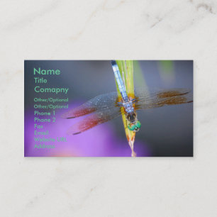 Dragonfly 1 - business card template
