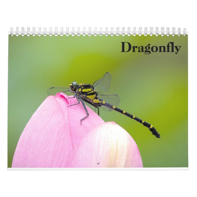 Dragonfly 2026 calendar (Cover)