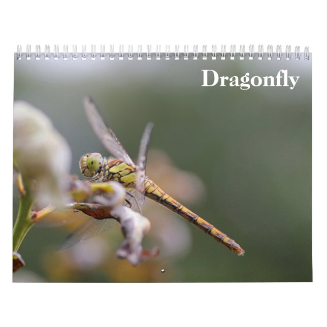 Dragonfly 2026 calendar (Cover)