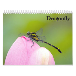 Dragonfly 2027 calendar