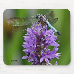 Dragonfly 2 mouse mat