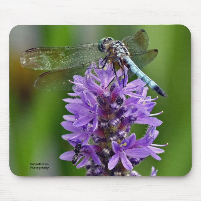 Dragonfly 2 mouse mat (Front)
