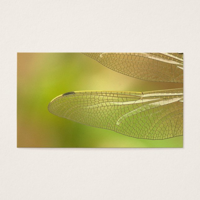 dragonfly-348433  dragonfly insect animal wing sum (Front)