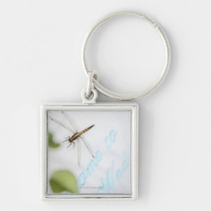 Dragonfly 4 key ring