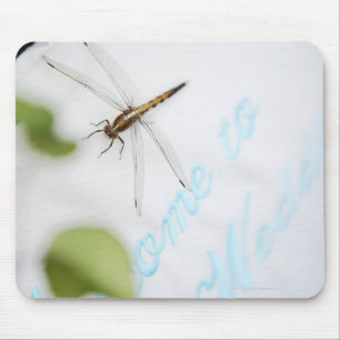 Dragonfly 4 mouse mat