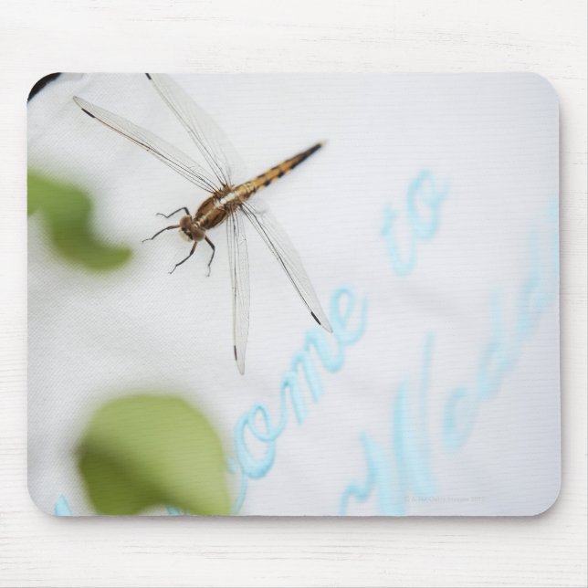 Dragonfly 4 mouse mat (Front)