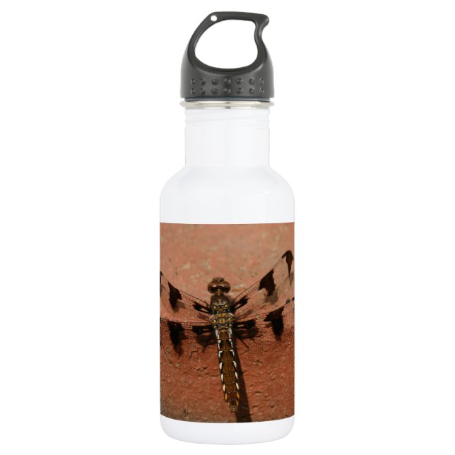 Dragonfly 532 Ml Water Bottle (Front)