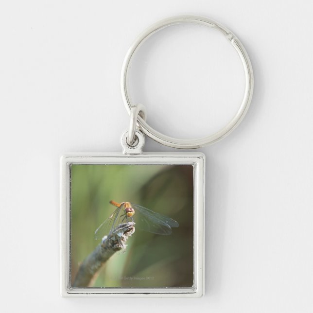 Dragonfly 5 key ring (Front)
