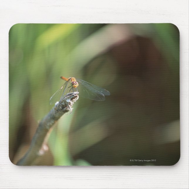 Dragonfly 5 mouse mat (Front)
