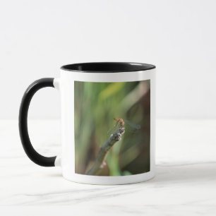 Dragonfly 5 mug