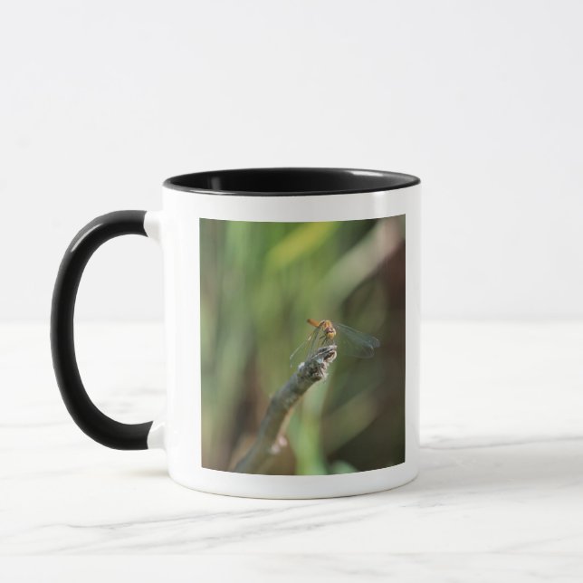 Dragonfly 5 mug (Left)