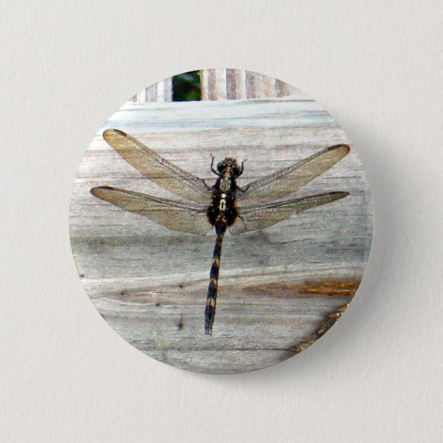 Dragonfly 6 Cm Round Badge (Front)