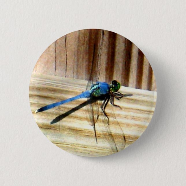 Dragonfly 6 Cm Round Badge (Front)