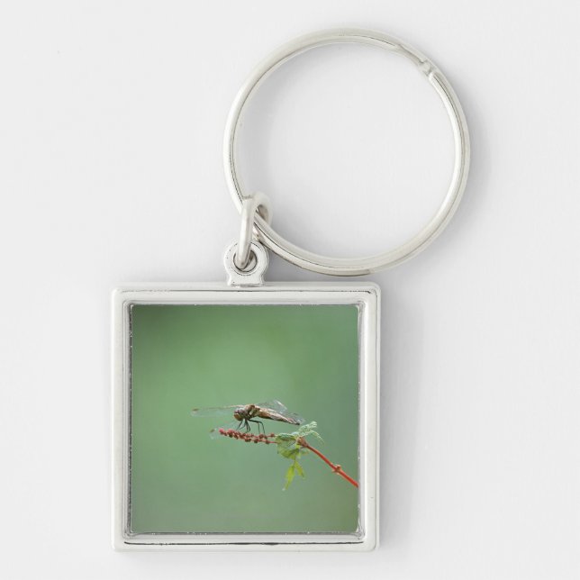 Dragonfly 6 key ring (Front)