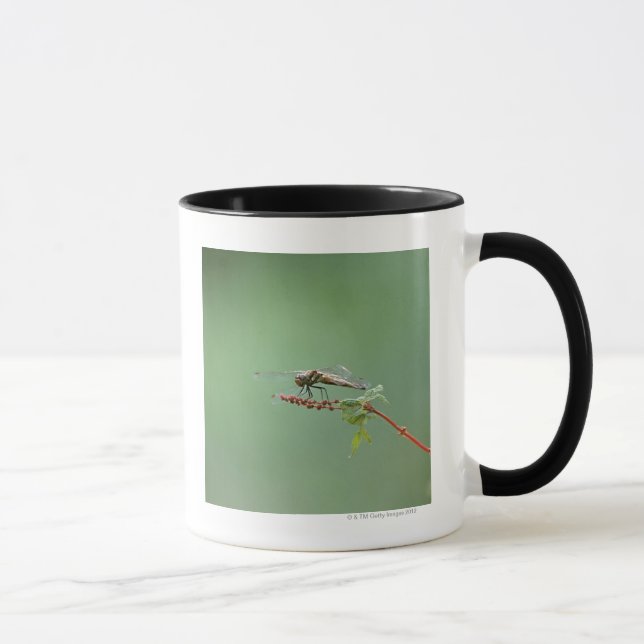 Dragonfly 6 mug (Right)
