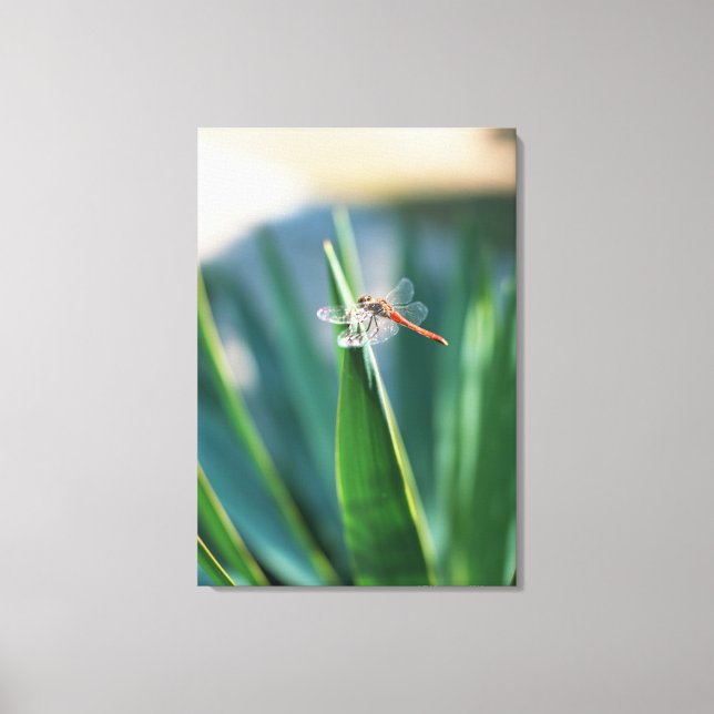 Dragonfly 8 canvas print (Front)
