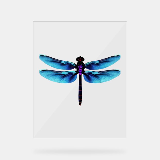 dragonfly                  acrylic sign (Front)