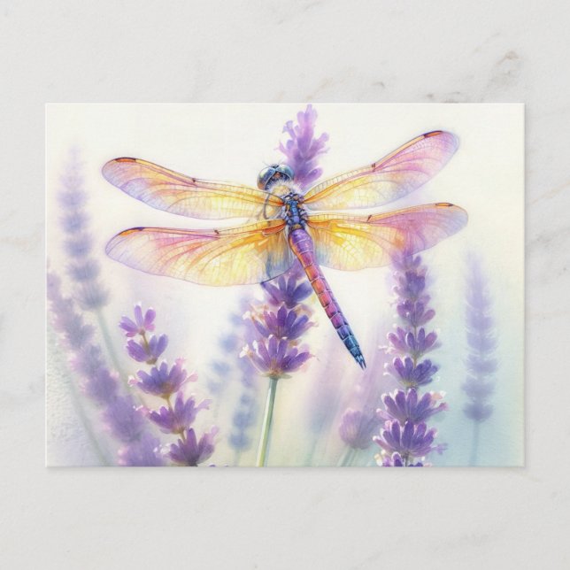 Dragonfly Among Lavender Flowers Postcard (Front)