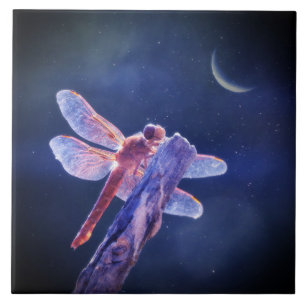 Dragonfly and Crescent Moon Mystical Tile