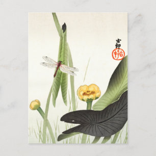Dragonfly and Lotus by Ohara Koson, Japanese Art, Postcard