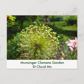 Dragonfly at Munsinger Garden Postcard