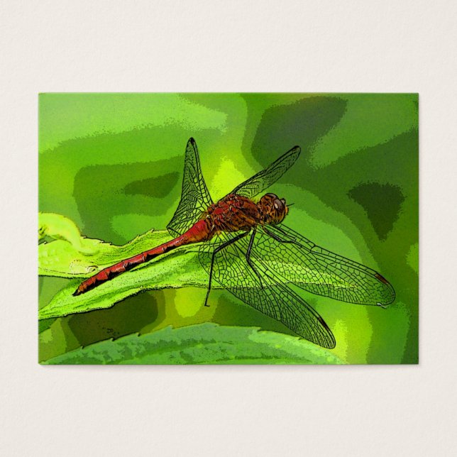 Dragonfly ATC (Front)