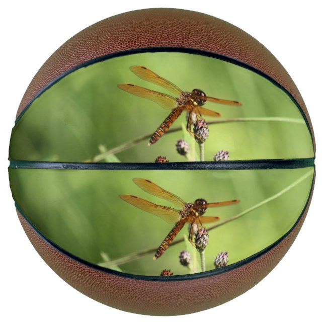 Dragonfly Basketball (Front)