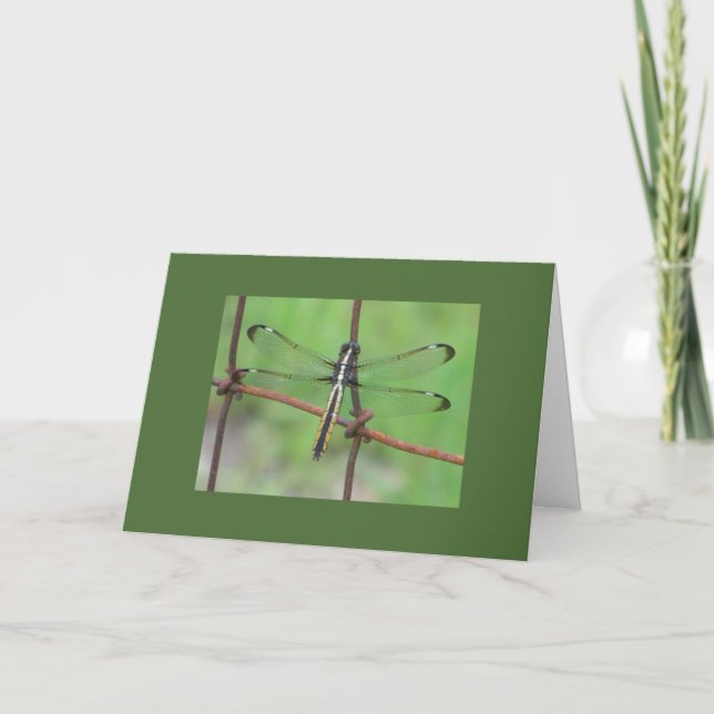 Dragonfly Birthday Card (Front)