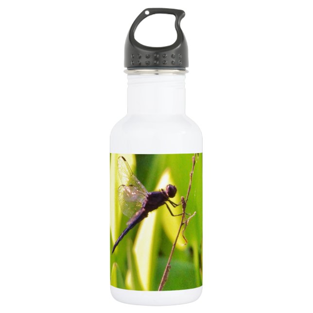 Dragonfly Blue and black on grass. 532 Ml Water Bottle (Front)