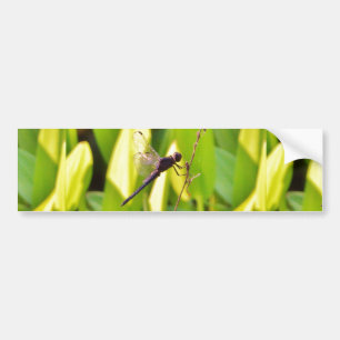 Dragonfly Blue and black on grass. Bumper Sticker