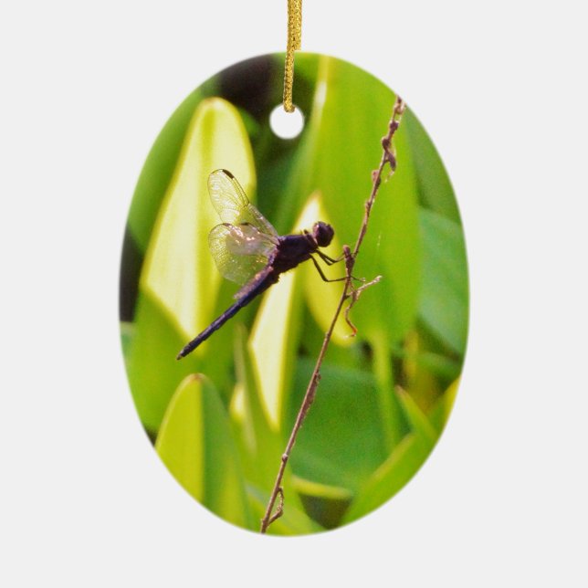 Dragonfly Blue and black on grass. Ceramic Tree Decoration (Front)